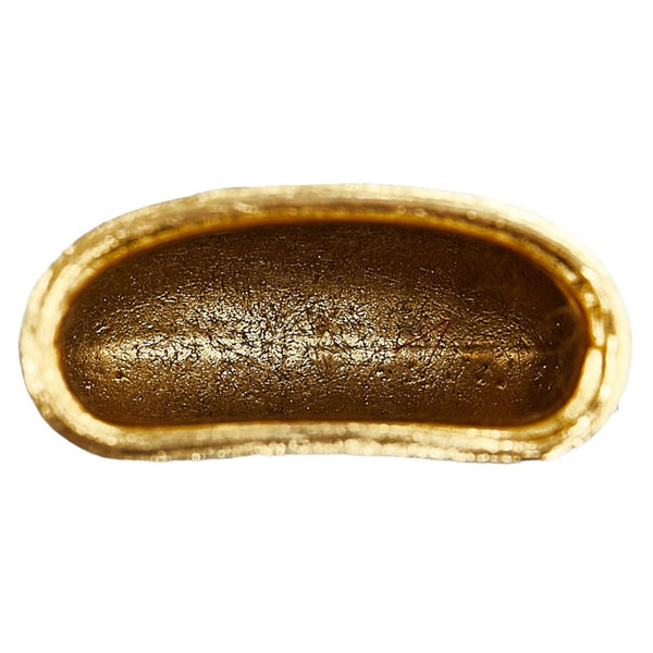 グッチ シェリーライン ピルケース ネックレス ゴールド メッキ レディース GUCCI 【中古】