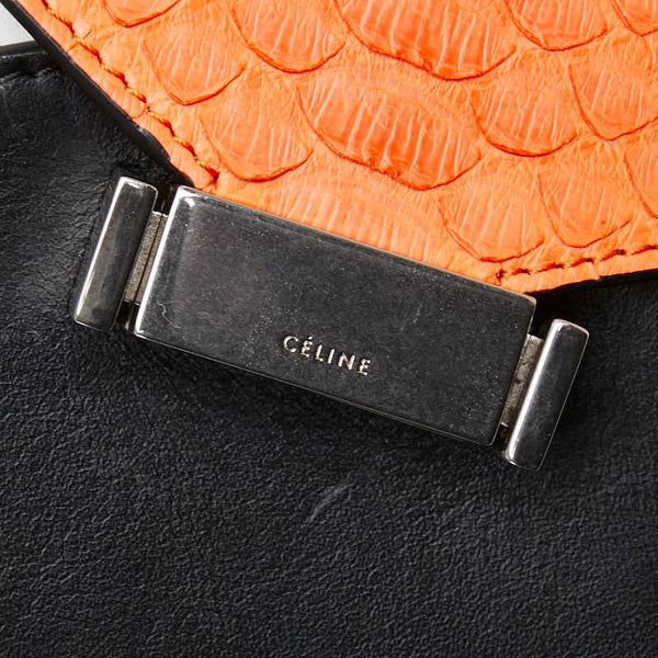 セリーヌ ワンショルダーバッグ マルチカラー レザー パイソン レディース CELINE 【中古】