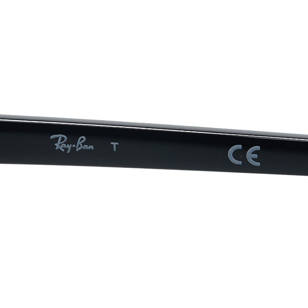 レイバン クラブラウンド サングラス RB4246 1157 ブラウン ブラック プラスチック メンズ Ray-Ban 【中古】