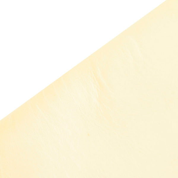 サルヴァトーレフェラガモ AQ-21 8691 ベージュ レザー ショルダーバッグ レディース Salvatore Ferragamo 中古