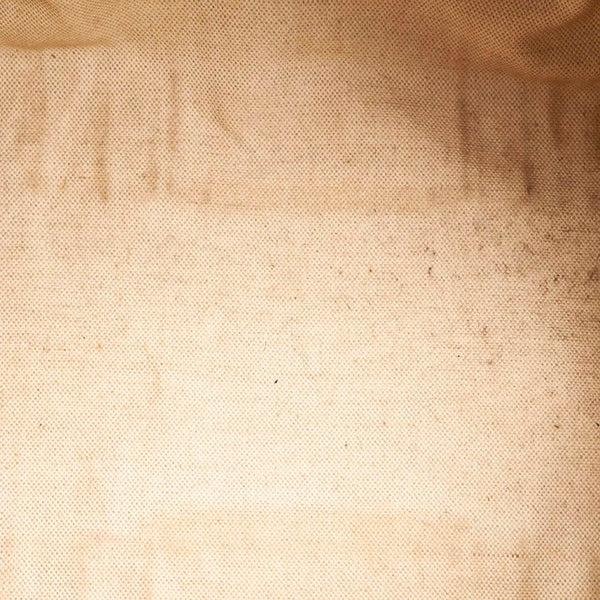 グッチ GGキャンバス シェリーライン  406868 ベージュ ブラウン  キャンバス レザー ボストンバッグ ショルダーバッグ 2WAY レディース GUCCI 【中古】