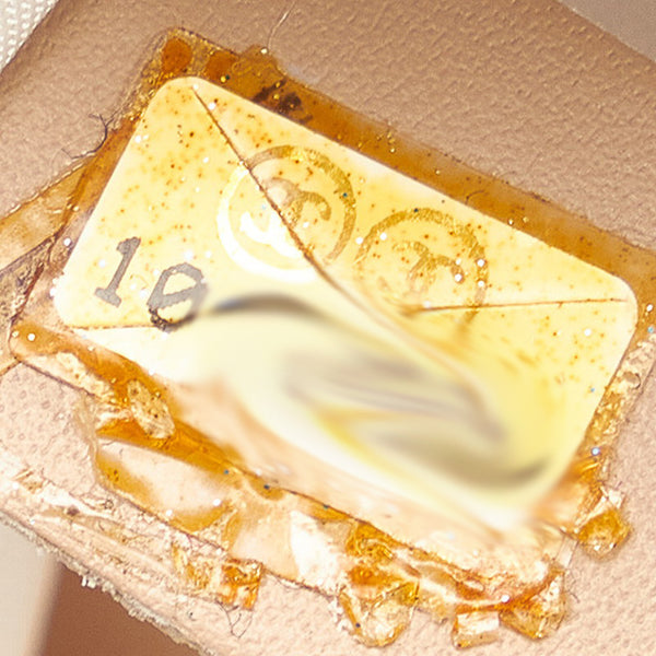 シャネル ニュートラベル ベージュ キャンバス レザー ハンドバッグ レディース CHANEL 【中古】